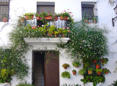 Ronda et les Villages Blancs